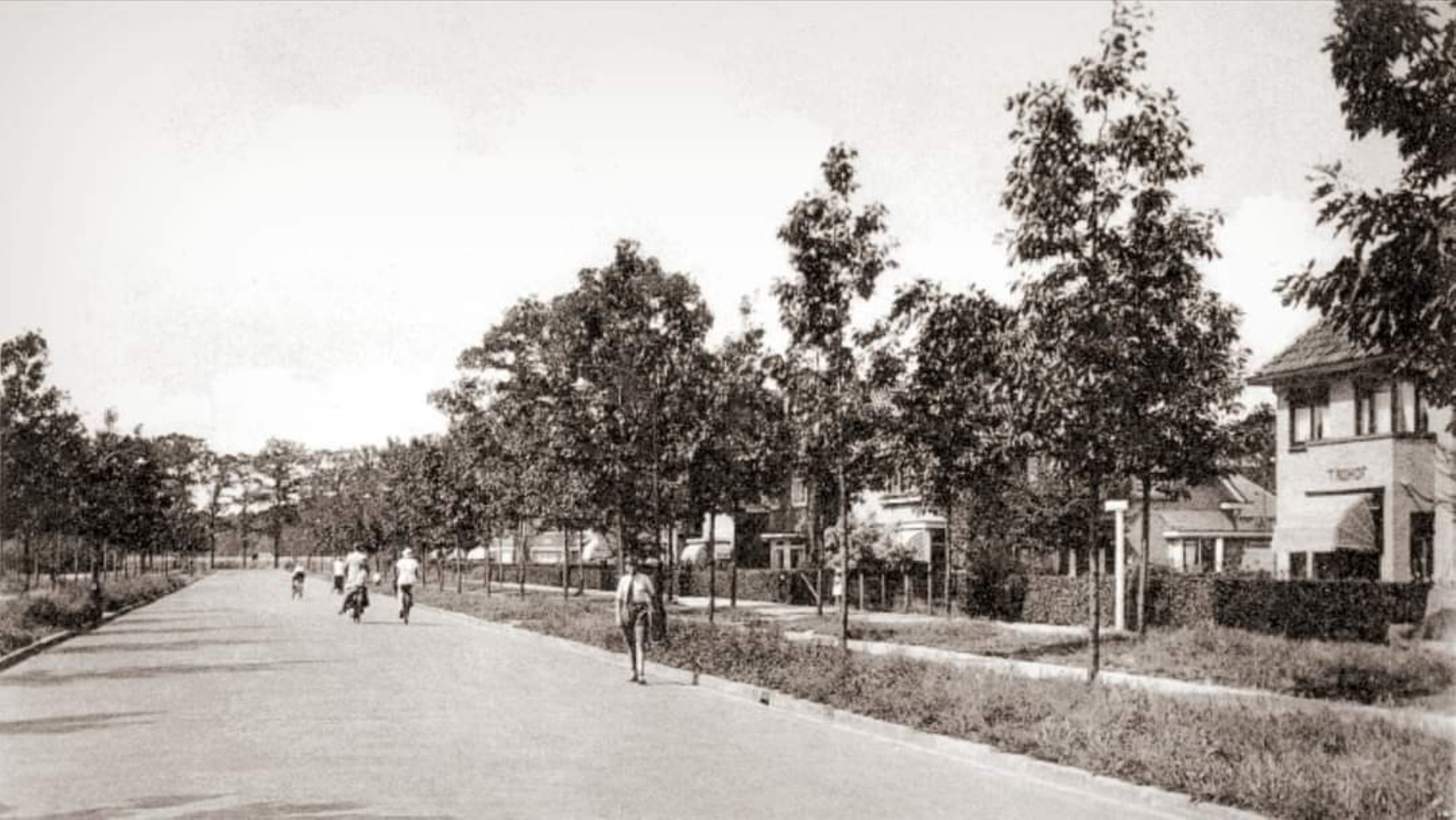 Acaciaplein vanaf de Nachtegaalstraat